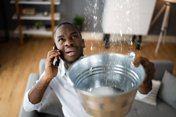 Best Residential water damage restoration  in South Miami Heights, FL