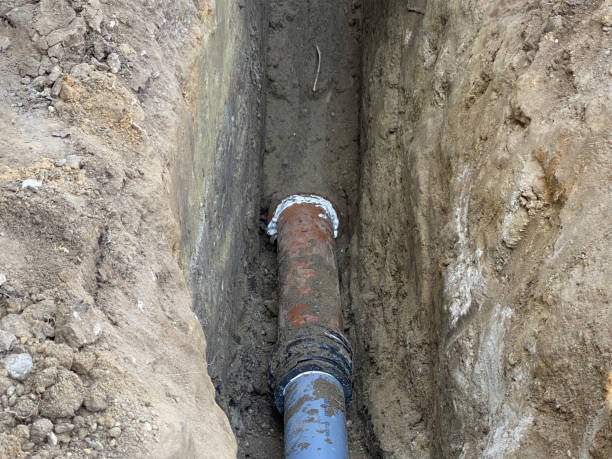 Best Flood restoration services  in South Miami Heights, FL