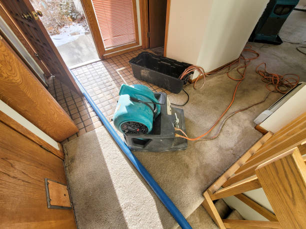 Best Carpet water damage restoration  in South Miami Heights, FL