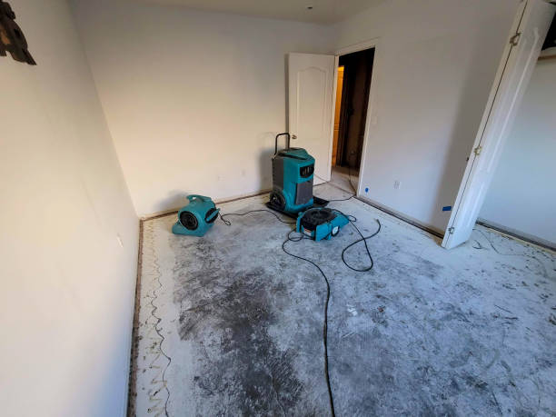 Best Water damage restoration near me  in South Miami Heights, FL