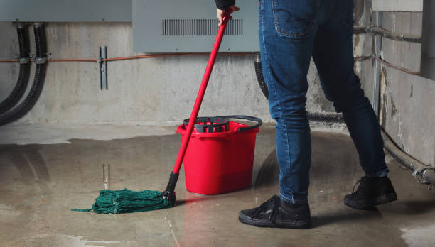 Best Commercial water damage restoration  in South Miami Heights, FL
