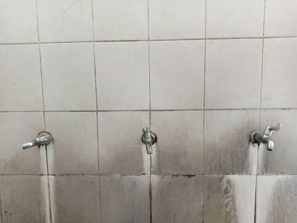 Best Water damage repair service  in South Miami Heights, FL