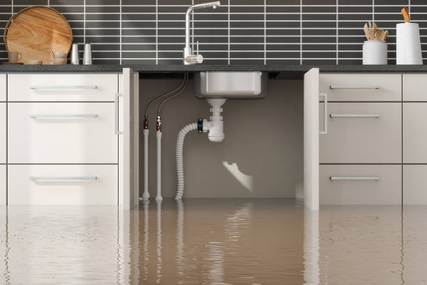 Best Emergency water damage restoration  in South Miami Heights, FL