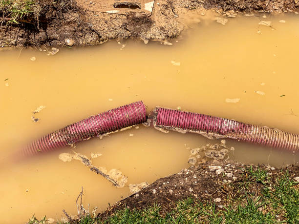 Best Basement water damage restoration  in South Miami Heights, FL