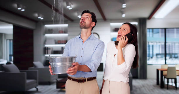 Best Flooded house restoration  in South Miami Heights, FL