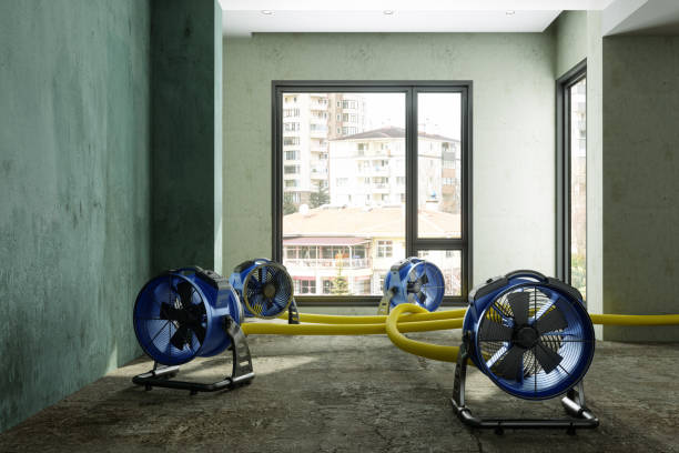  South Miami Heights, FL Water damage restoration Pros