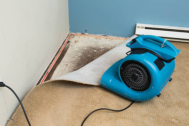 Best 24-hour water damage restoration  in South Miami Heights, FL