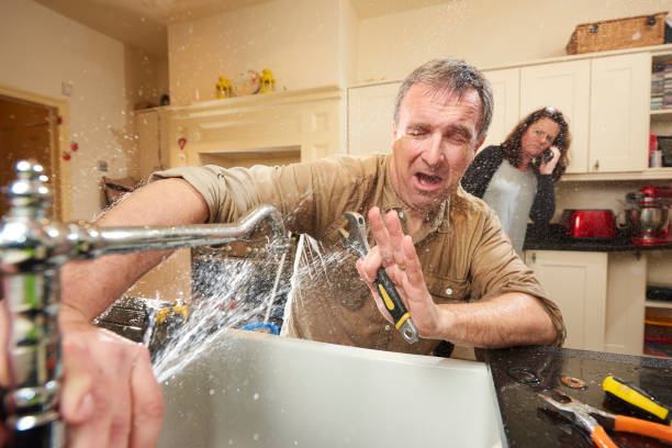 Best Water damage restoration specialists  in South Miami Heights, FL